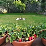 A Casa * 이스키아