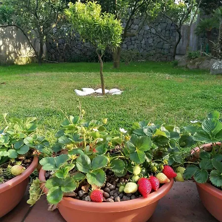 A Casa * Ischia